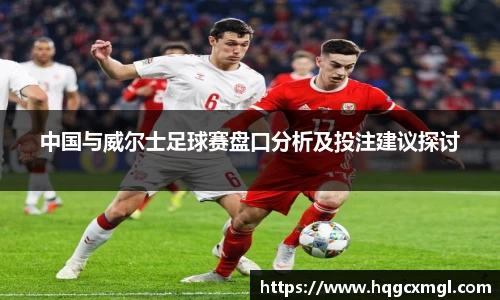 中国与威尔士足球赛盘口分析及投注建议探讨